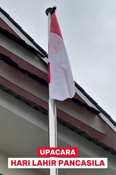 WhatsApp Image 2025-06-03 at 19.13.15.jpeg